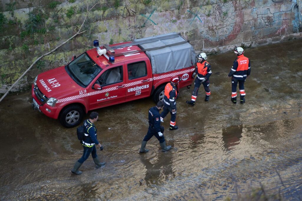 Imagen de galería 1650