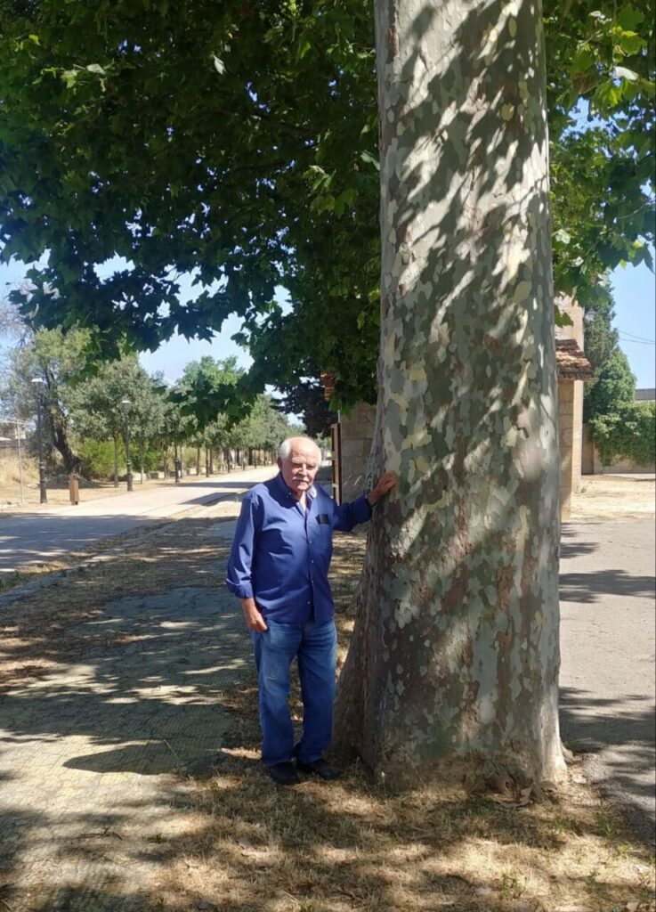 Imagen de galería 1070