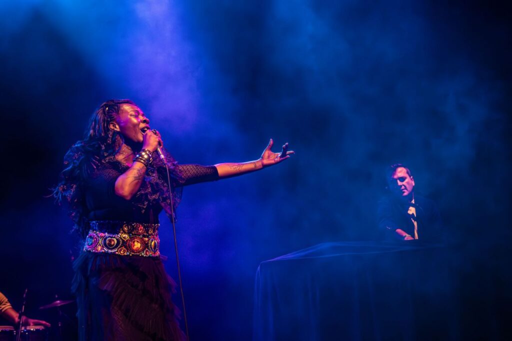 Imagen de galería 1563