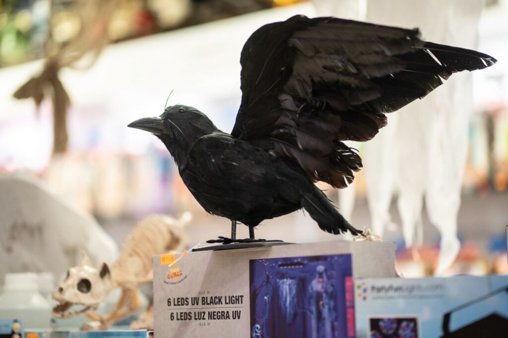 Imagen de galería 1544