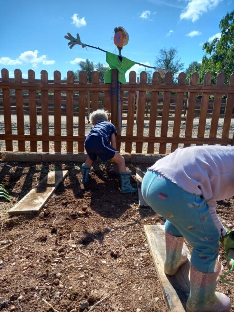 Imagen de galería 1389