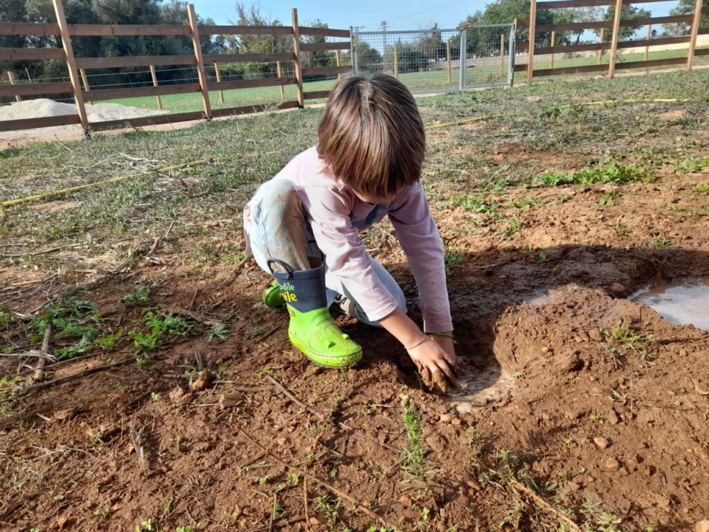 Imagen de galería 1389