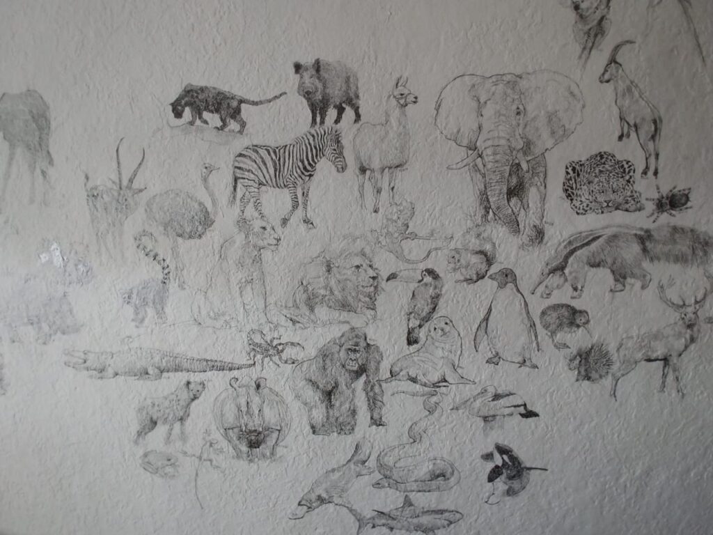 Imagen de galer&iacute;a 815