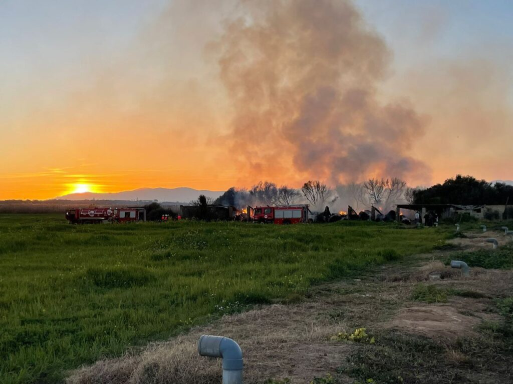 Imagen de galería 1323