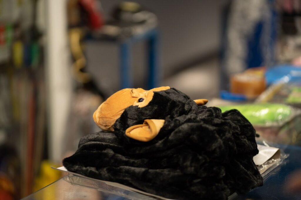 Imagen de galer&iacute;a 1290