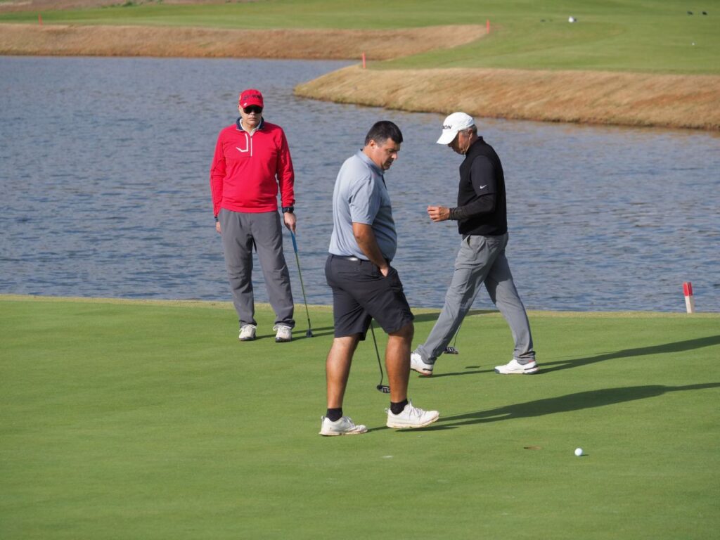 Imagen de galería 1195