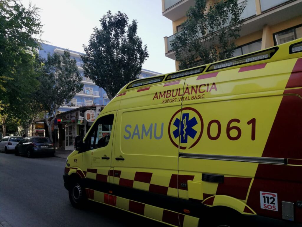 Imagen de galería 565