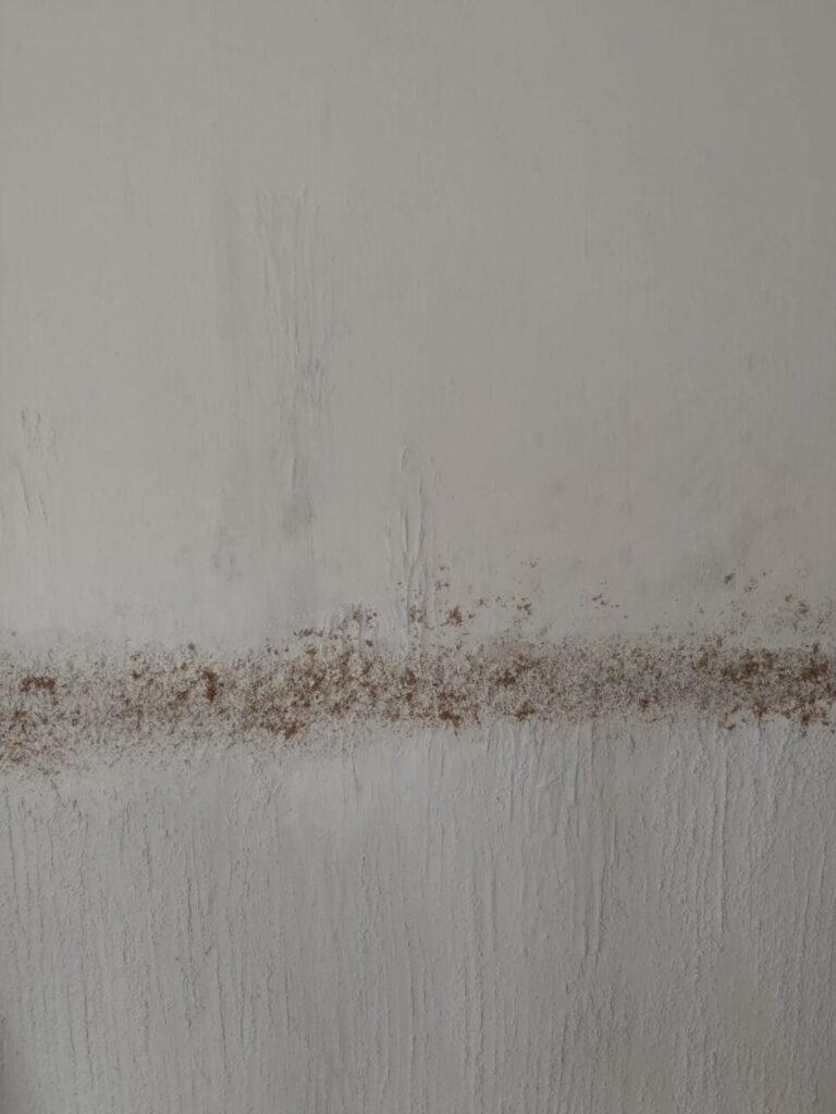 Imagen de galería 1200