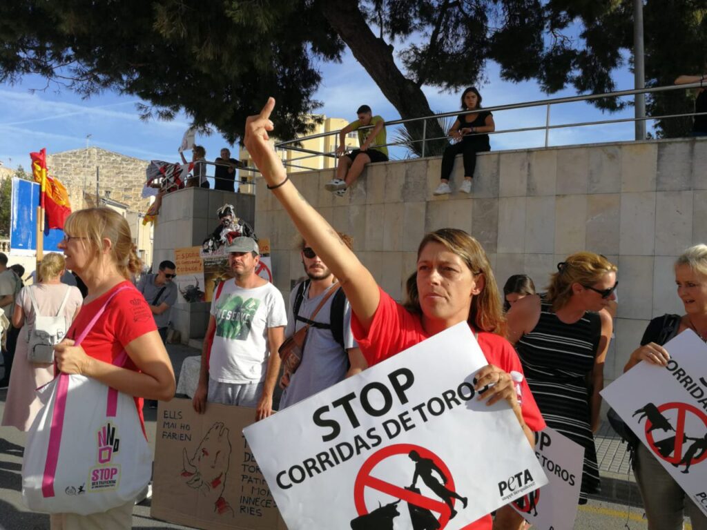 Imagen de galería 628