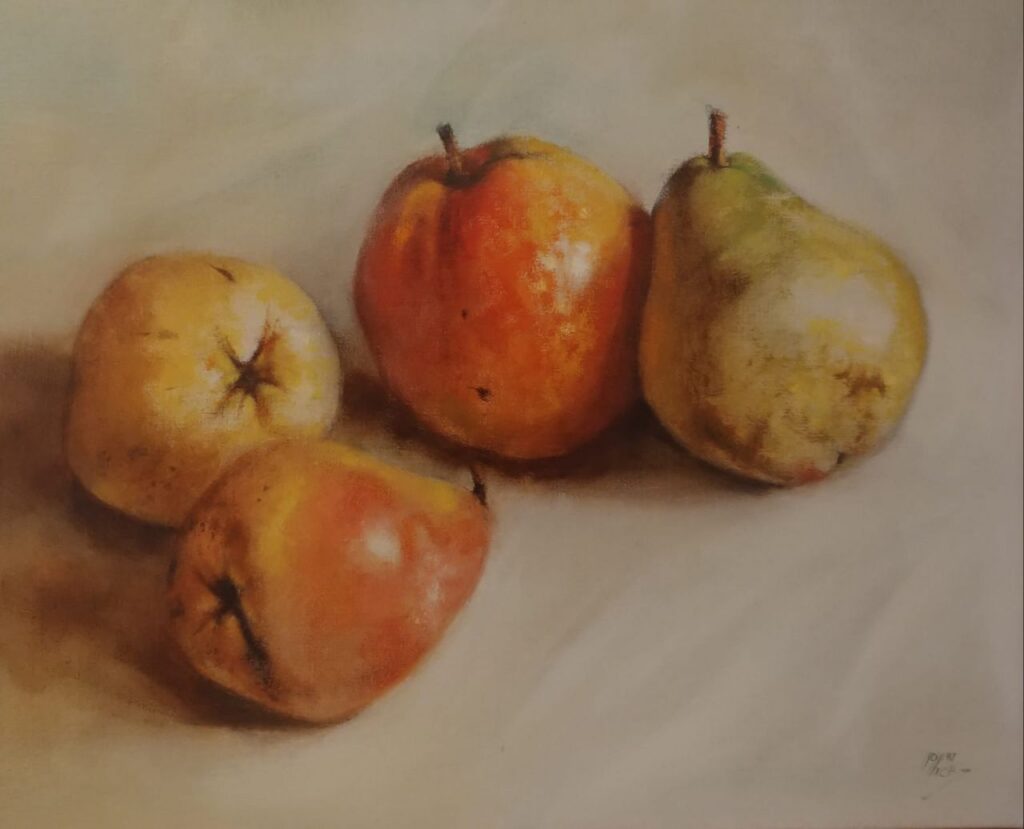 Imagen de galería 1140