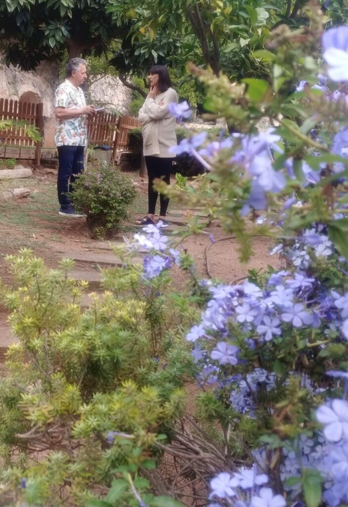 Imagen de galería 924