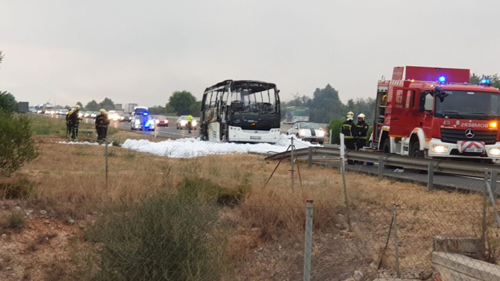 Imagen de galería 571