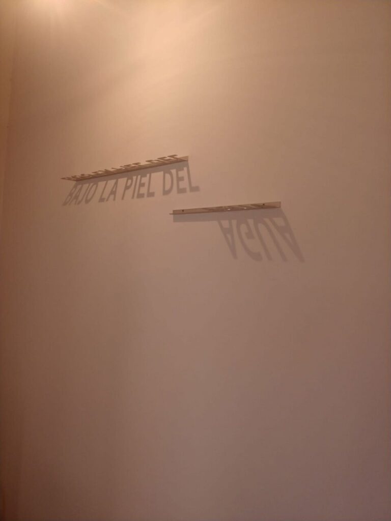 Imagen de galer&iacute;a 956