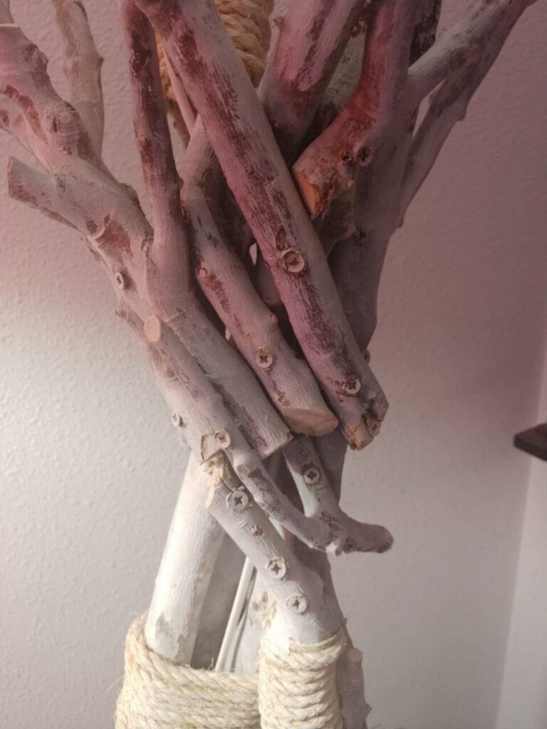 Imagen de galería 997