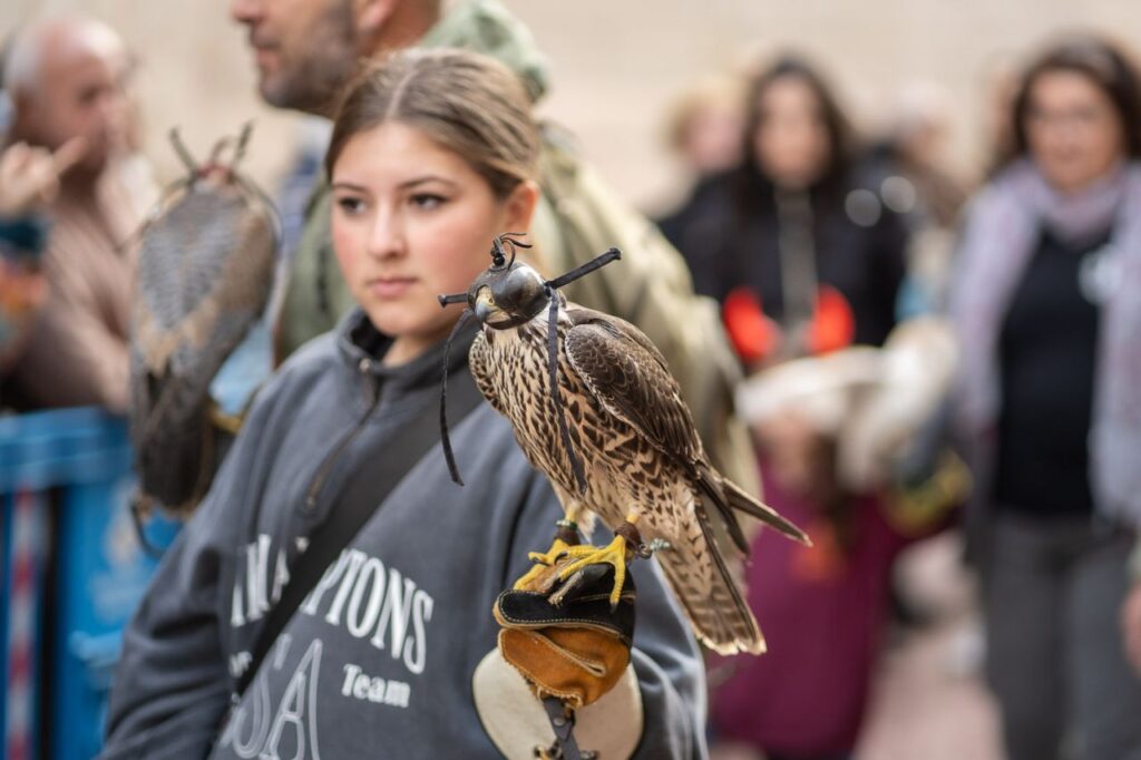Imagen de galería 1625