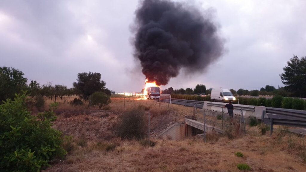 Imagen de galería 571