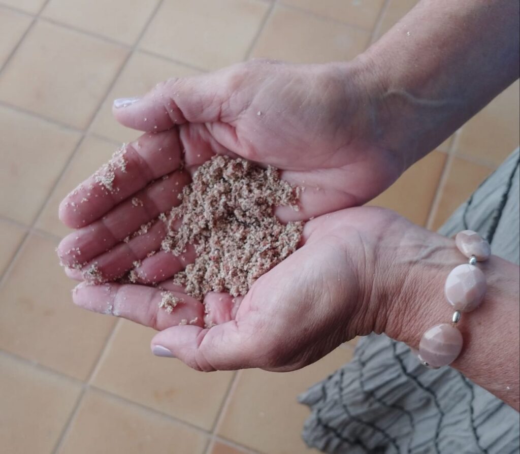 Imagen de galería 1200