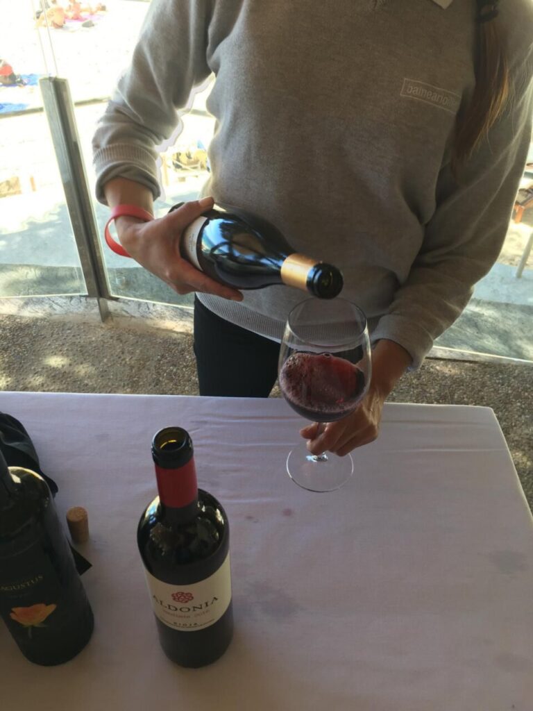 Imagen de galer&iacute;a 514