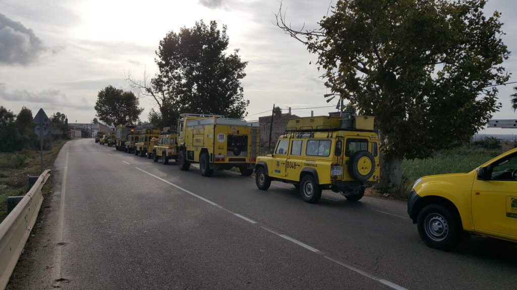 Imagen de galer&iacute;a 351