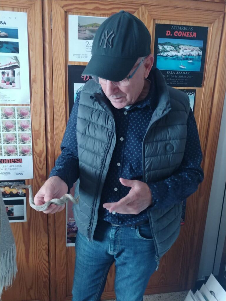 Imagen de galería 942