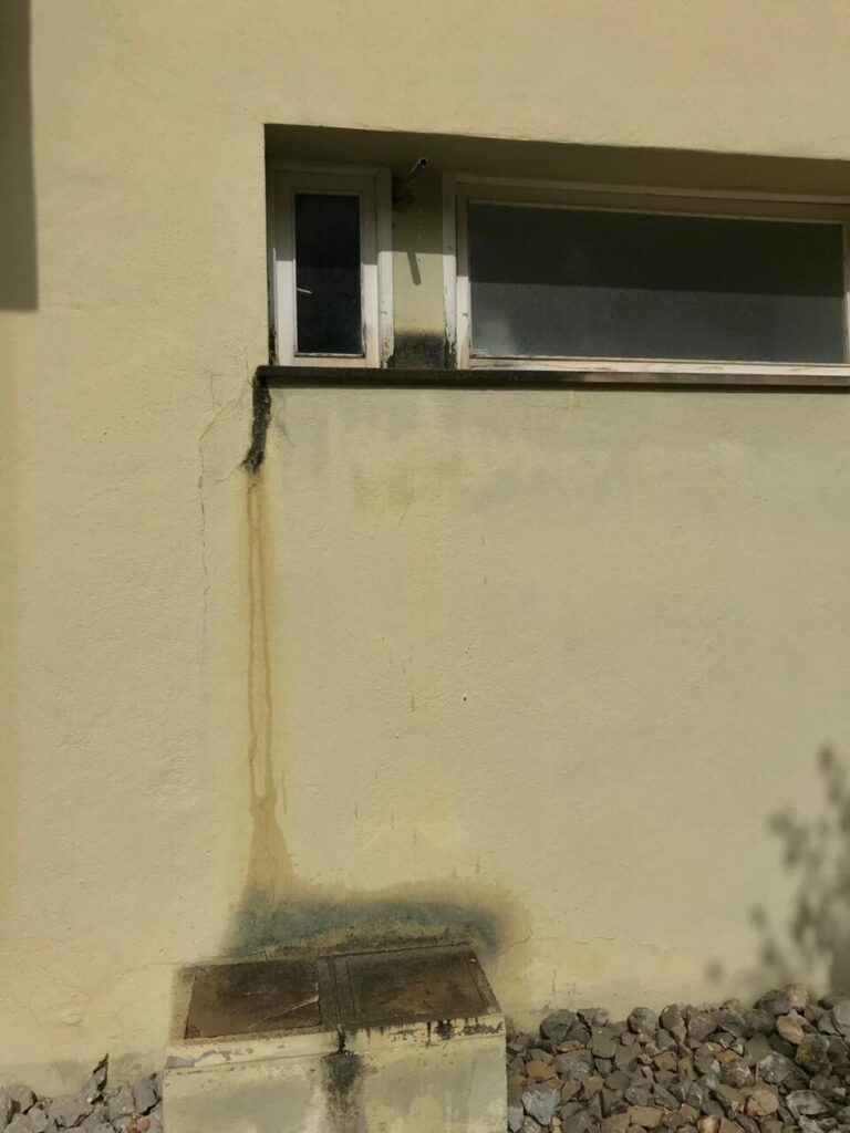 Imagen de galer&iacute;a 904