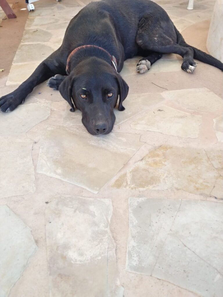 Imagen de galería 1086