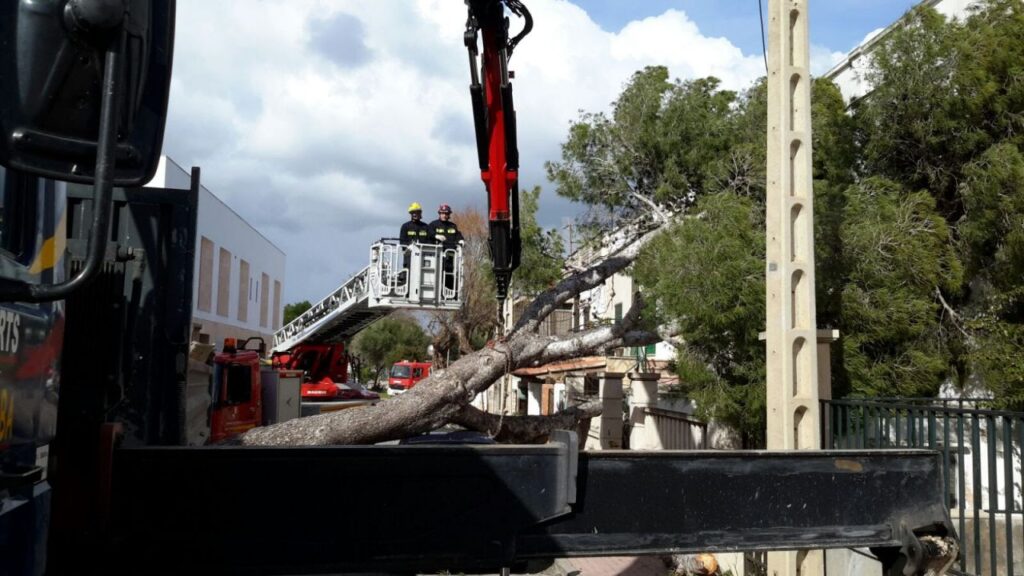 Imagen de galer&iacute;a 111