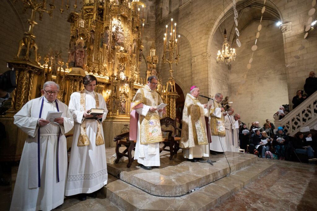 Imagen de galer&iacute;a 1250