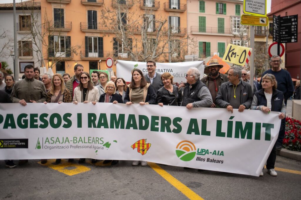 Imagen de galería 1658