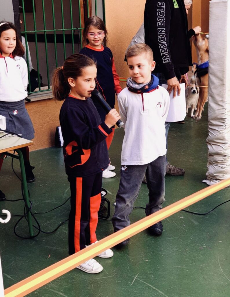 Imagen de galería 501