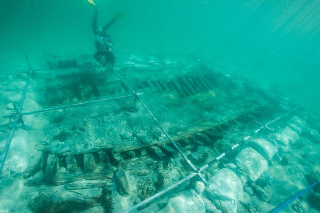 Imagen de galería 135