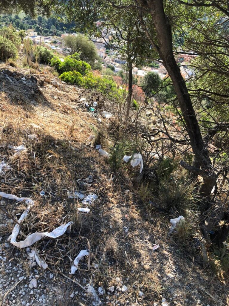 Imagen de galería 1318