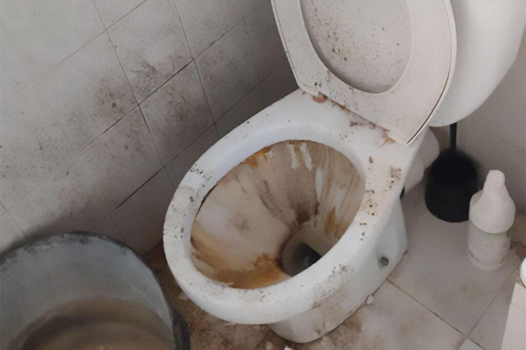 Imagen de galer&iacute;a 1353