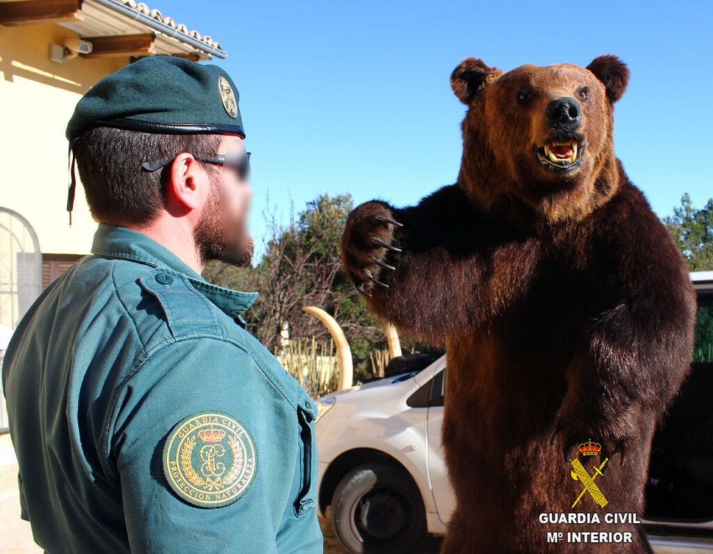 Imagen de galer&iacute;a 157