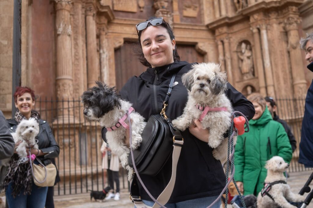 Imagen de galería 1625