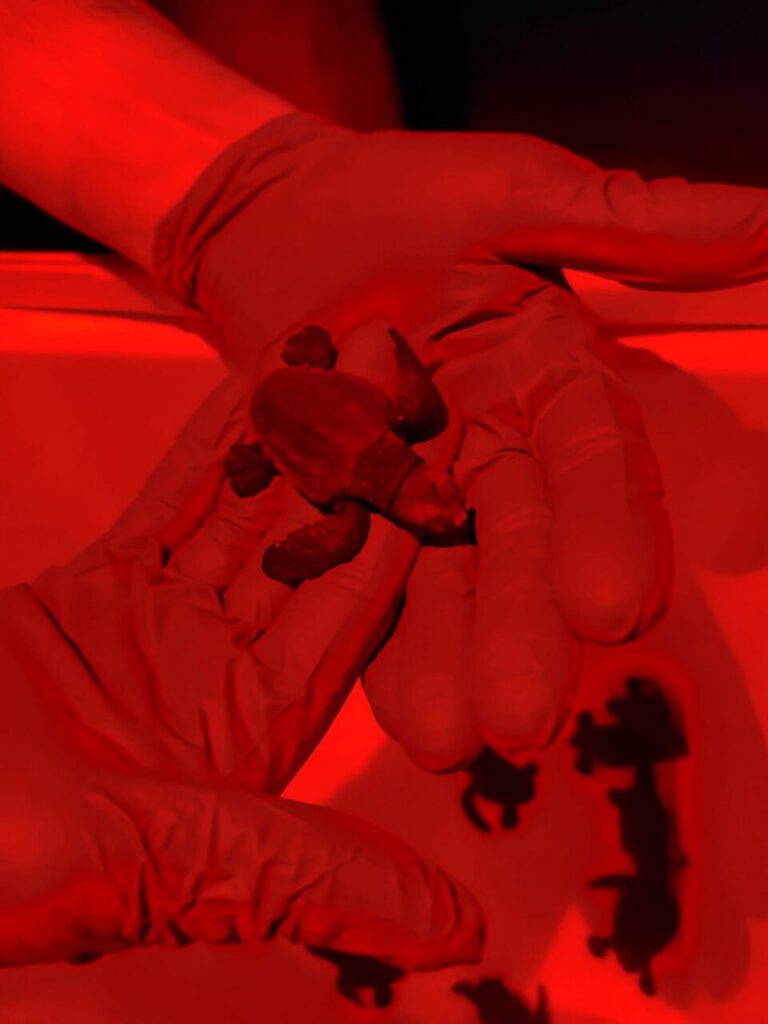 Imagen de galer&iacute;a 1474