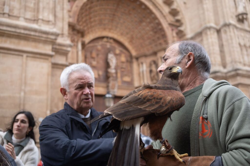 Imagen de galería 1625