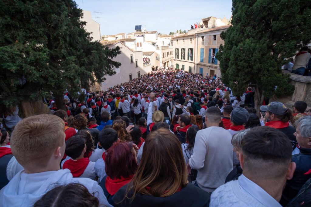 Imagen de galer&iacute;a 1249