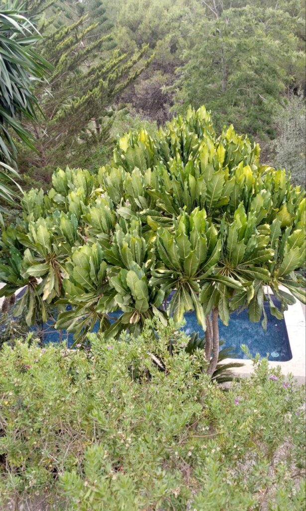 Imagen de galería 1065