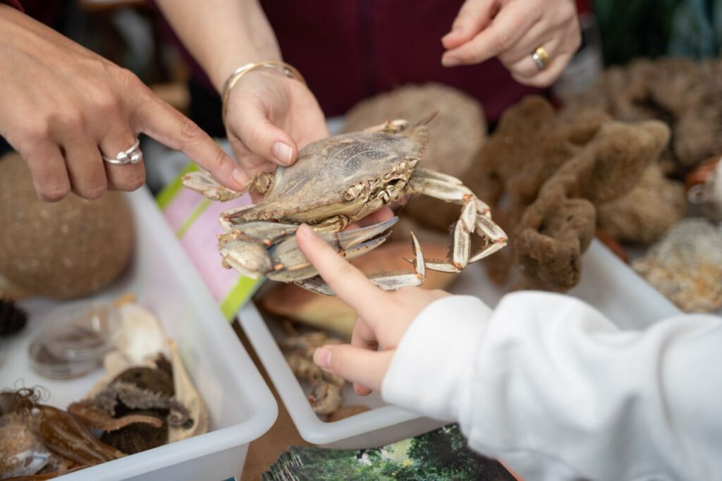 Imagen de galería 1970