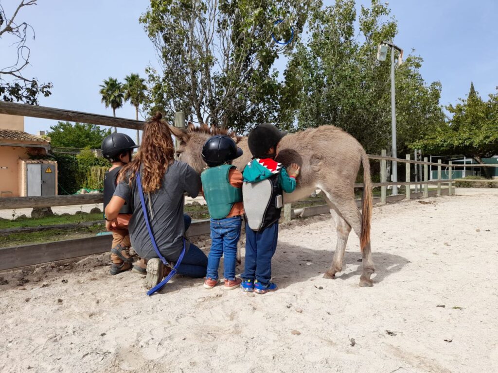 Imagen de galería 1389