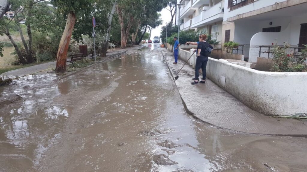 Imagen de galer&iacute;a 351