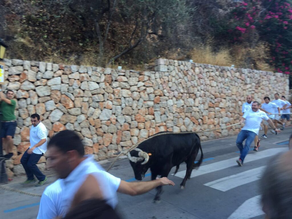 Imagen de galería 69