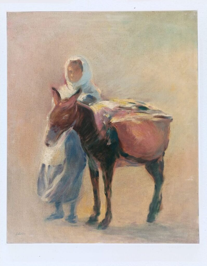 Imagen de galería 984