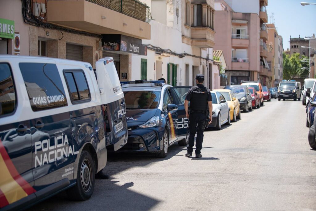 Imagen de galería 1072