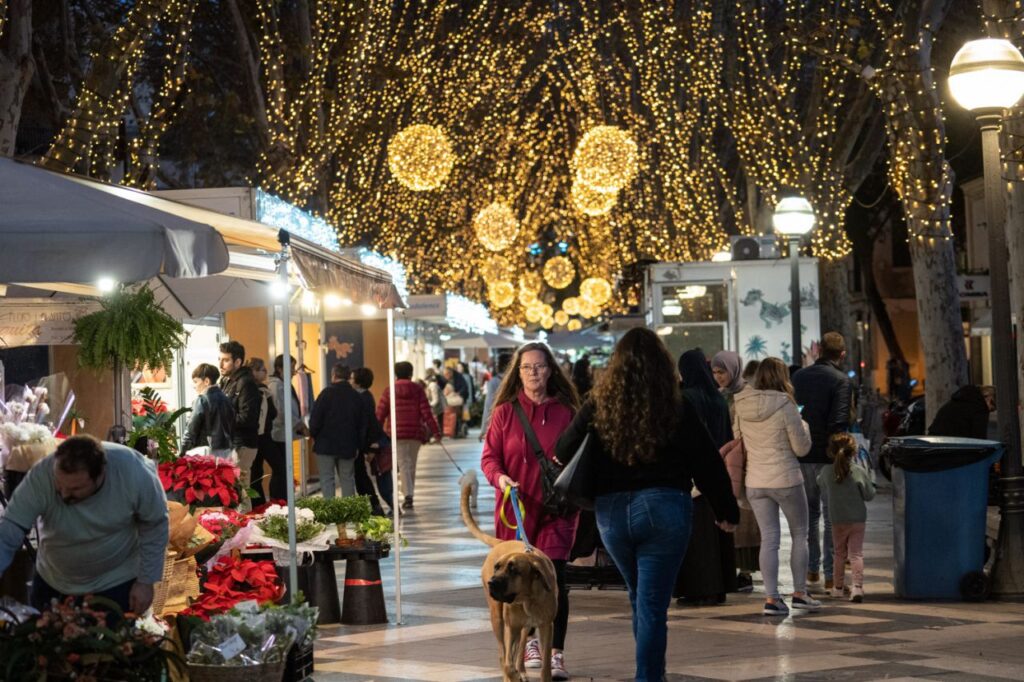 Imagen de galería 1220