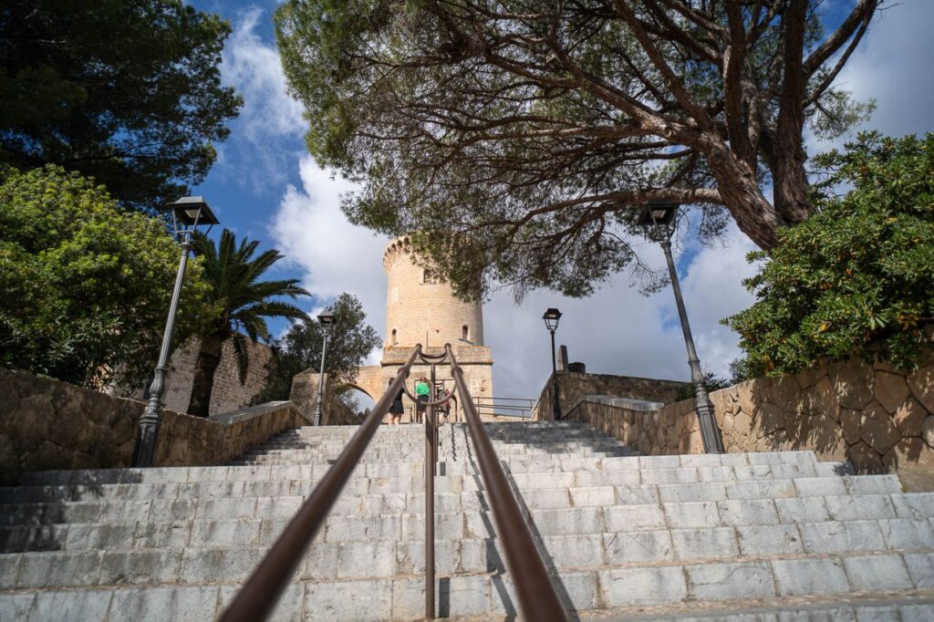 Imagen de galería 1756