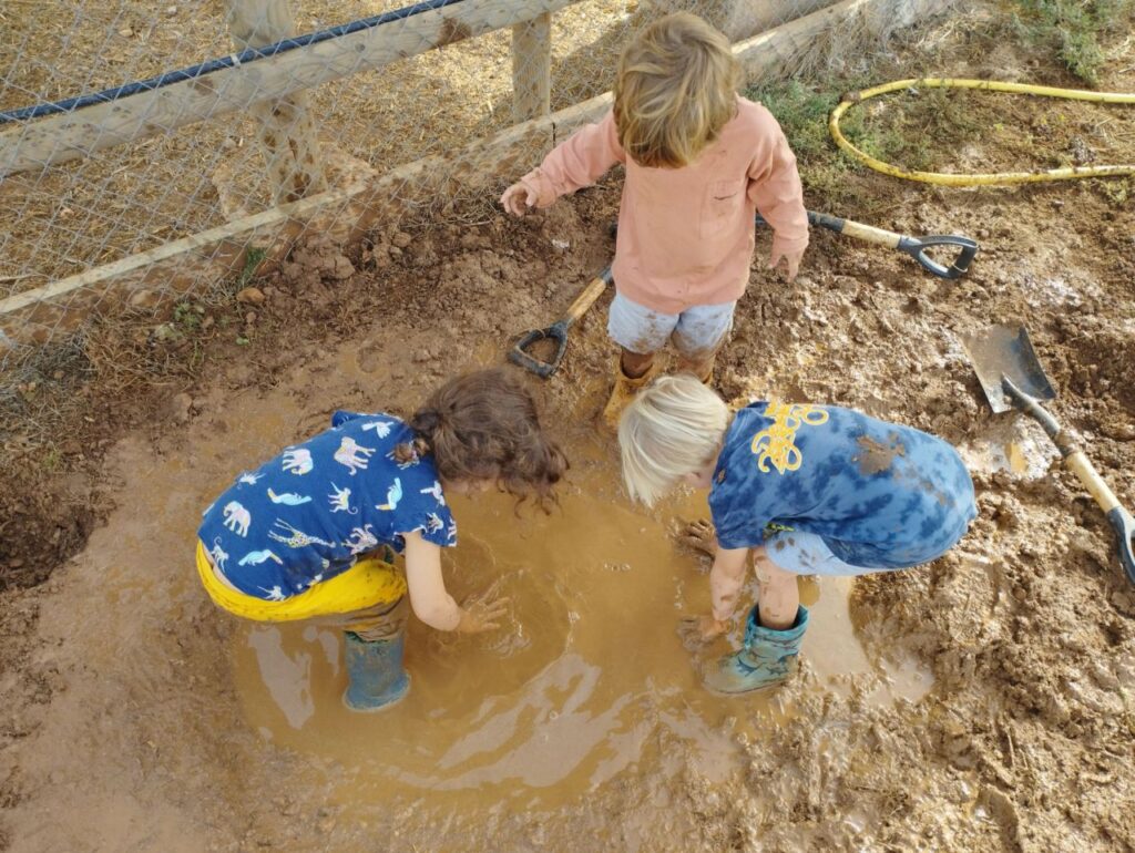 Imagen de galería 1389