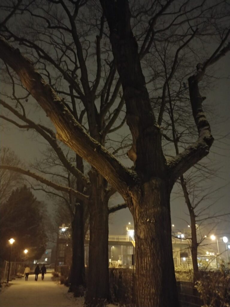 Imagen de galería 941