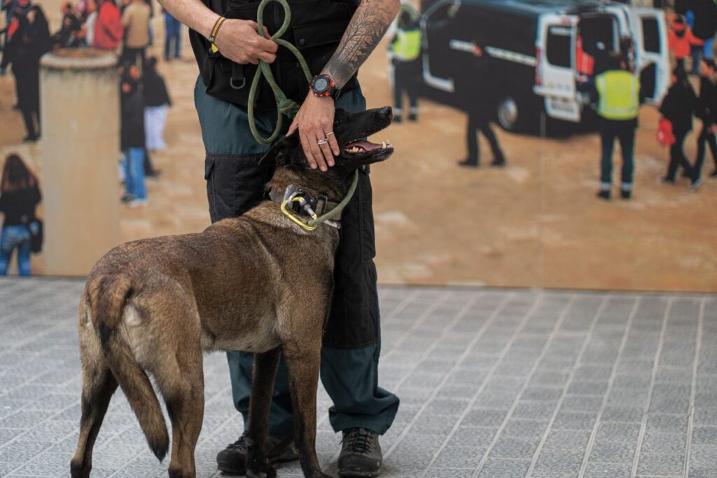 Imagen de galería 1688